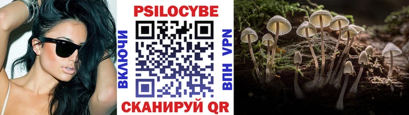 купить   Новопавловск  Псилоцибиновые грибы Cubensis 